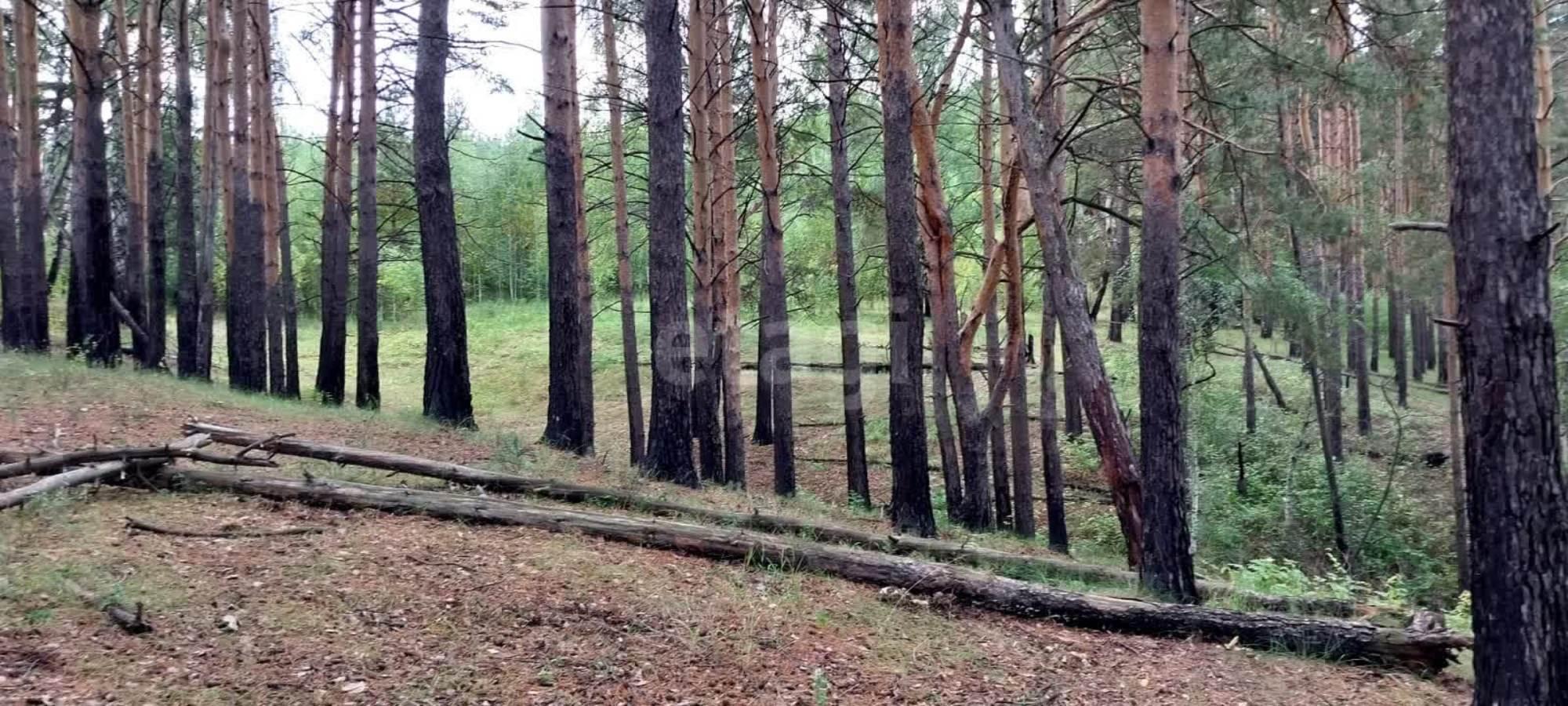 Купить землю, земельный участок за 3 200 000 рублей на Арамиль,Береговая 7