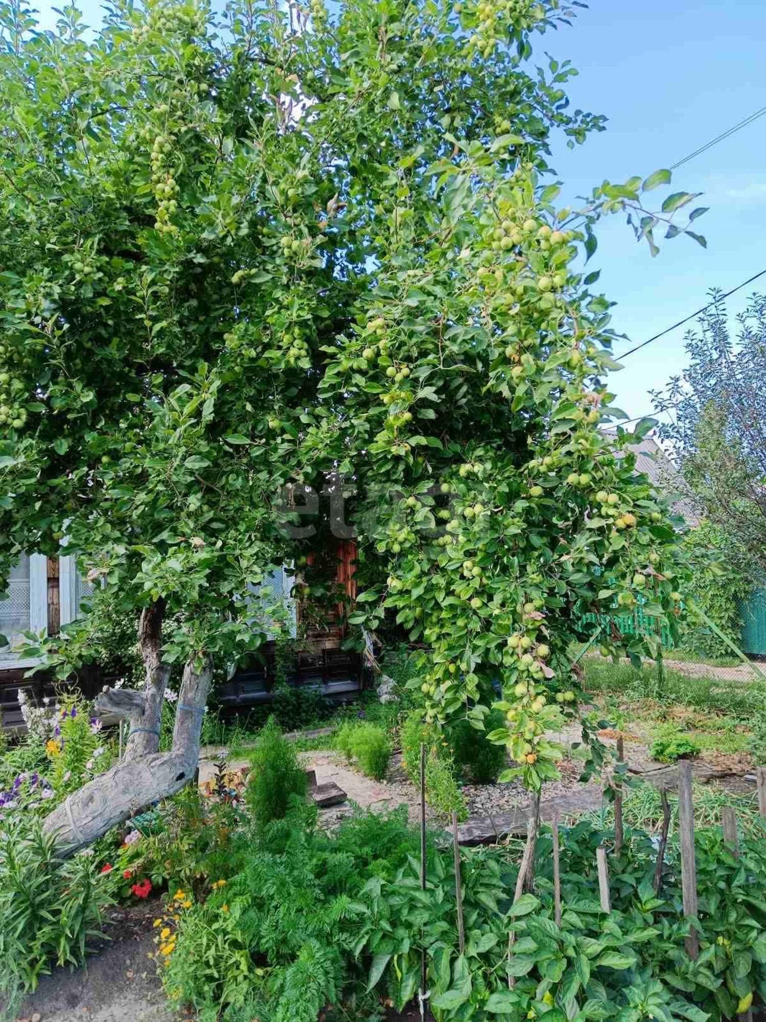 Купить дачу, дом, коттедж за 1 670 000 рублей на Рябиновая,