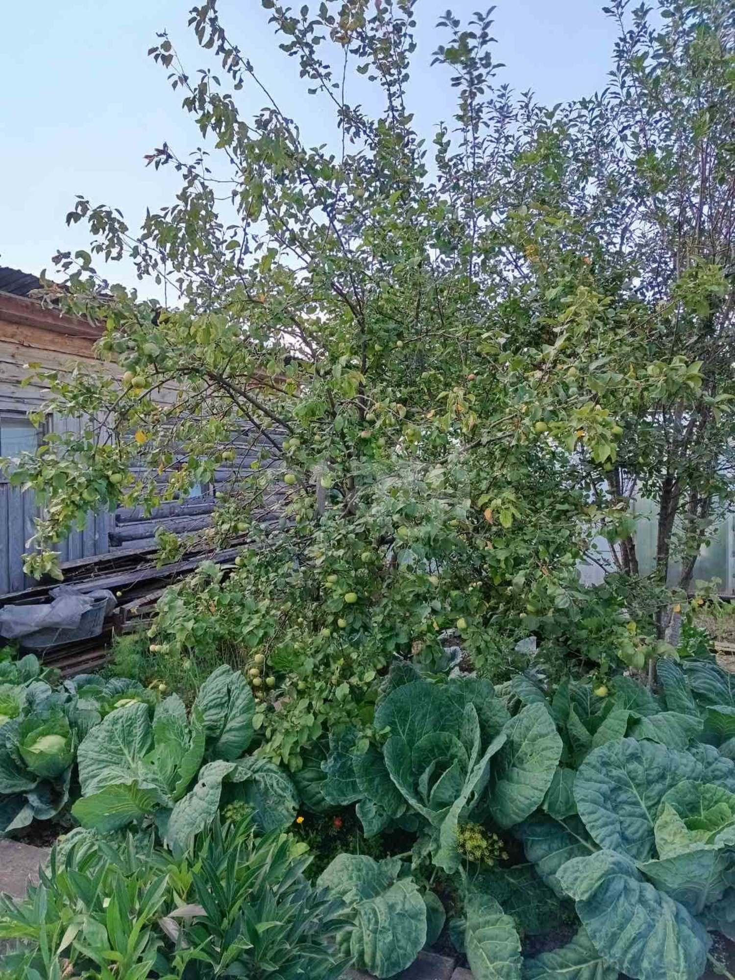 Купить дачу, дом, коттедж за 1 670 000 рублей на Рябиновая,