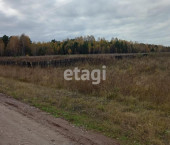 земля 60 сот 