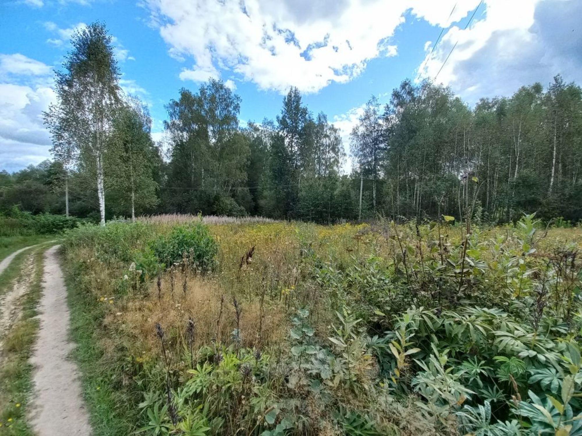 Купить землю, земельный участок за 150 000 рублей на , участок 109