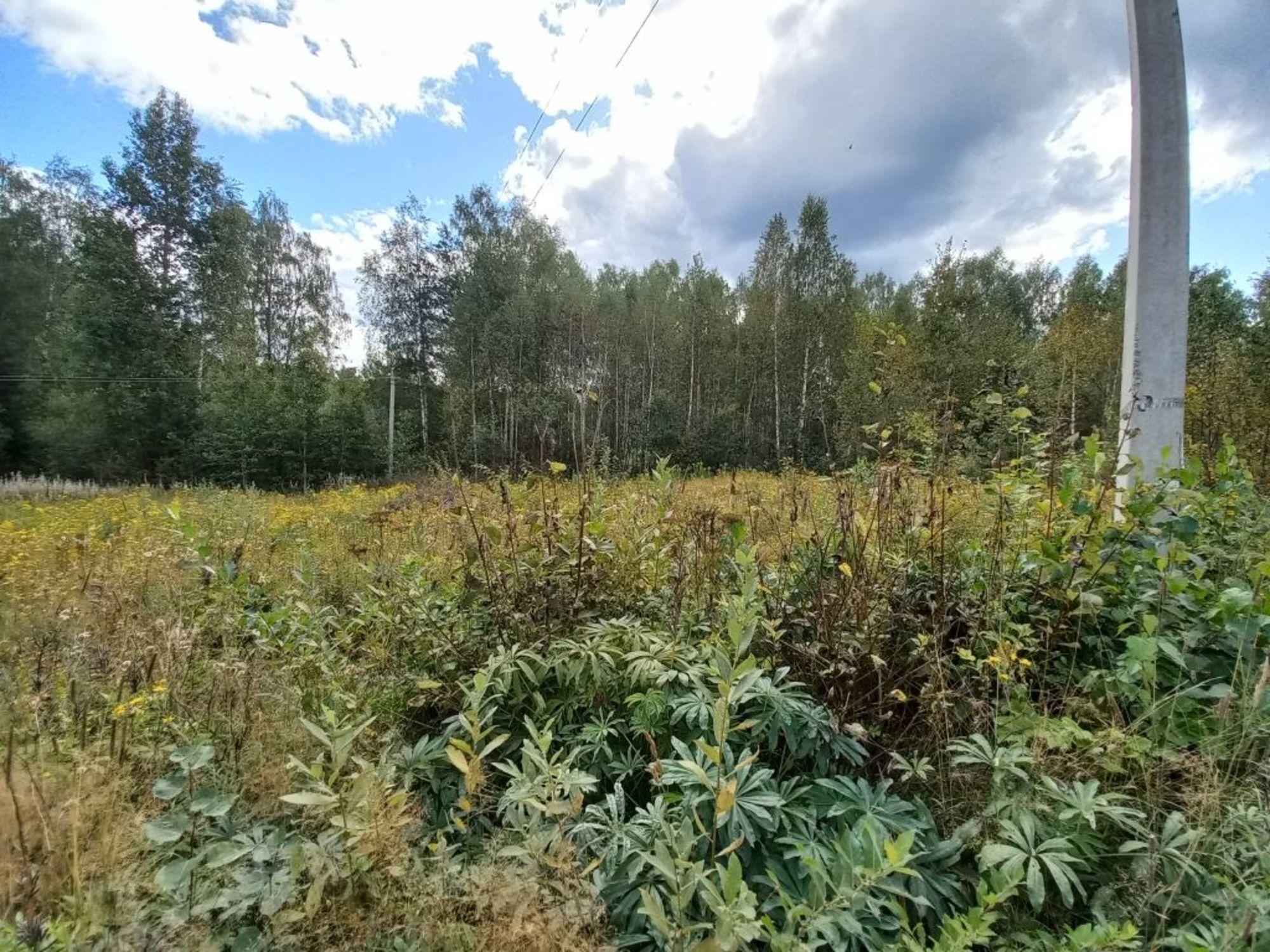 Купить землю, земельный участок за 150 000 рублей на , участок 109