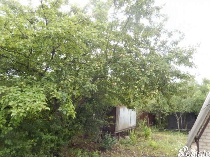 Земельный участок Яковлевский городской округ, Шопино с, ,