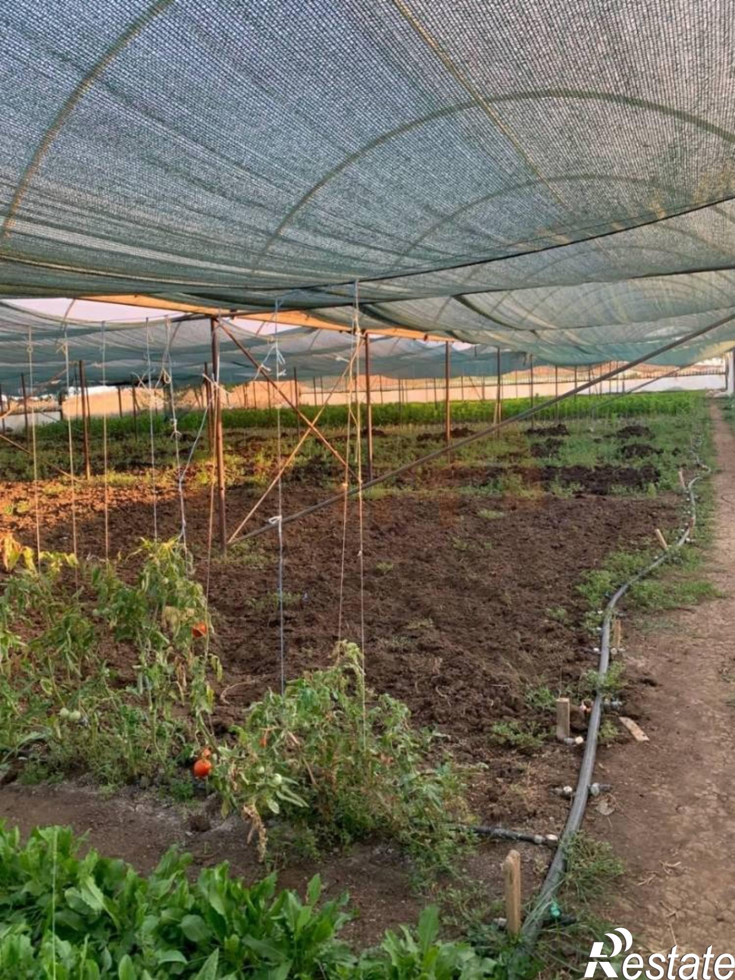 Купить дачу, дом, коттедж за 2 950 000 рублей на Студенческая ул.