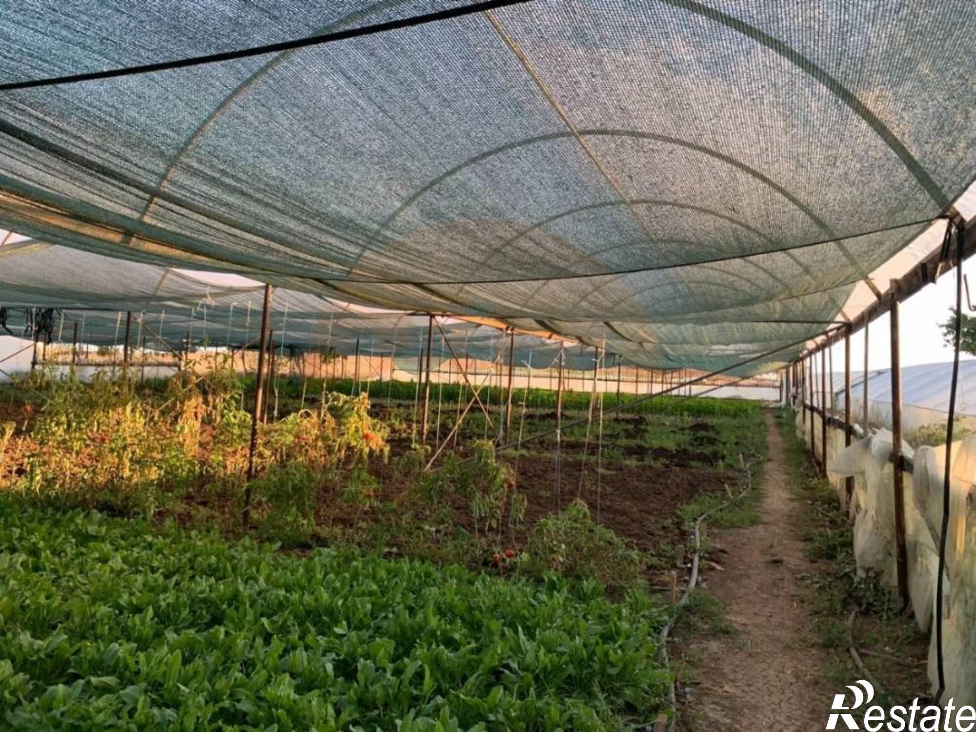 Купить дачу, дом, коттедж за 2 950 000 рублей на Студенческая ул.