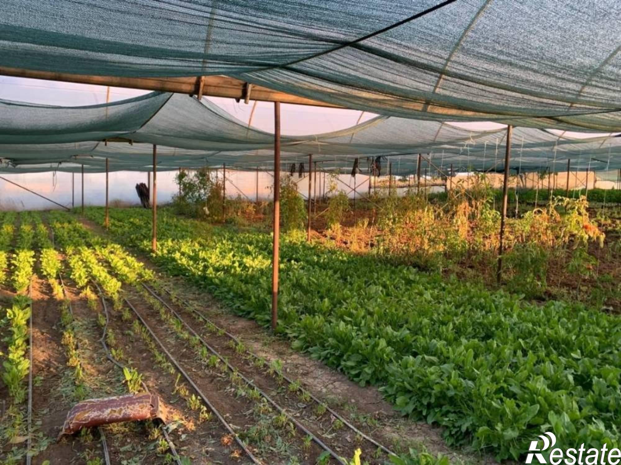 Купить дачу, дом, коттедж за 2 950 000 рублей на Студенческая ул.