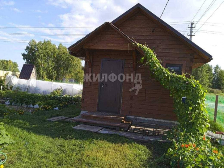 Коттедж/дом село Быстровка