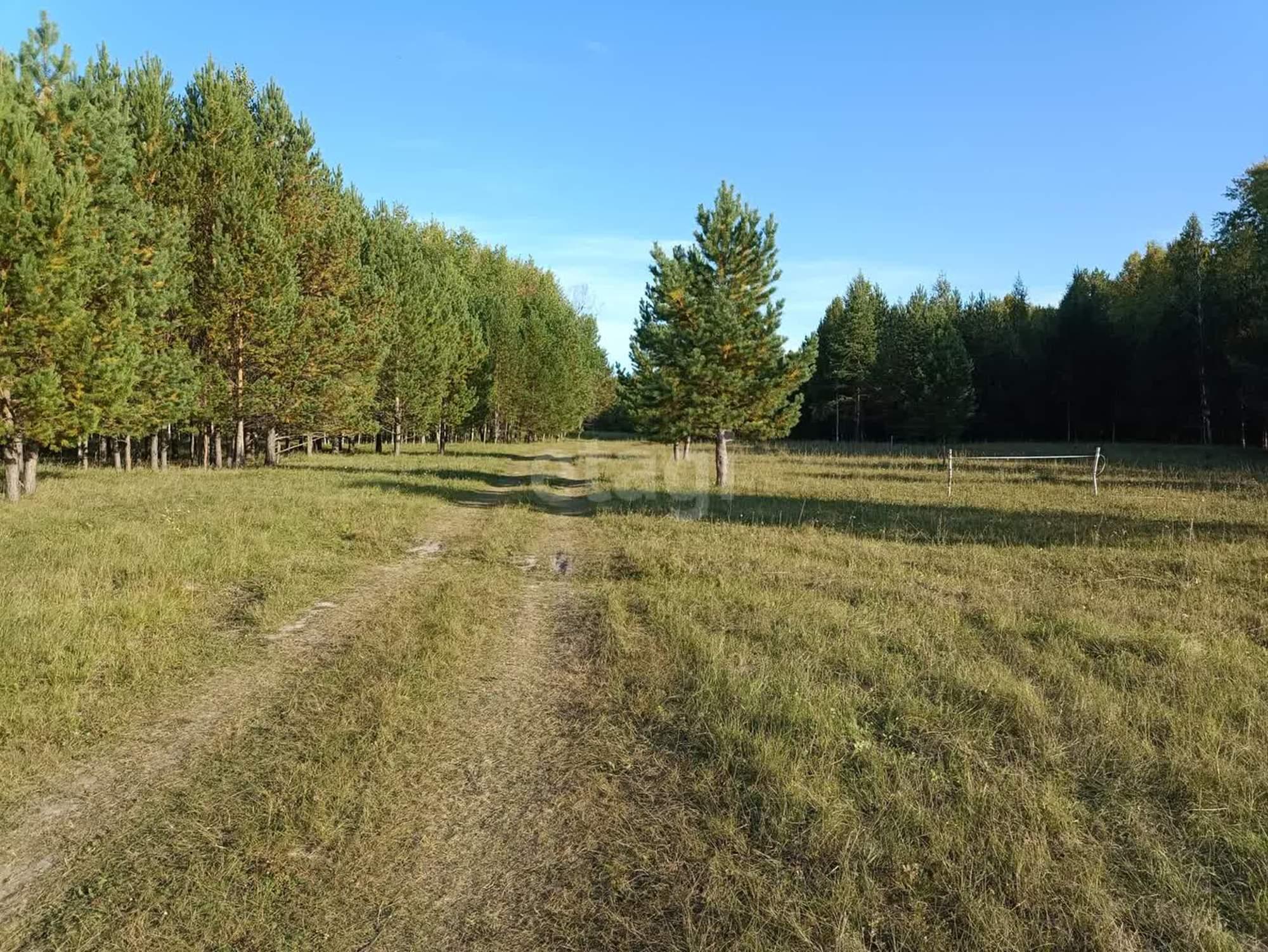 Купить землю, земельный участок за 1 000 000 рублей на Московка