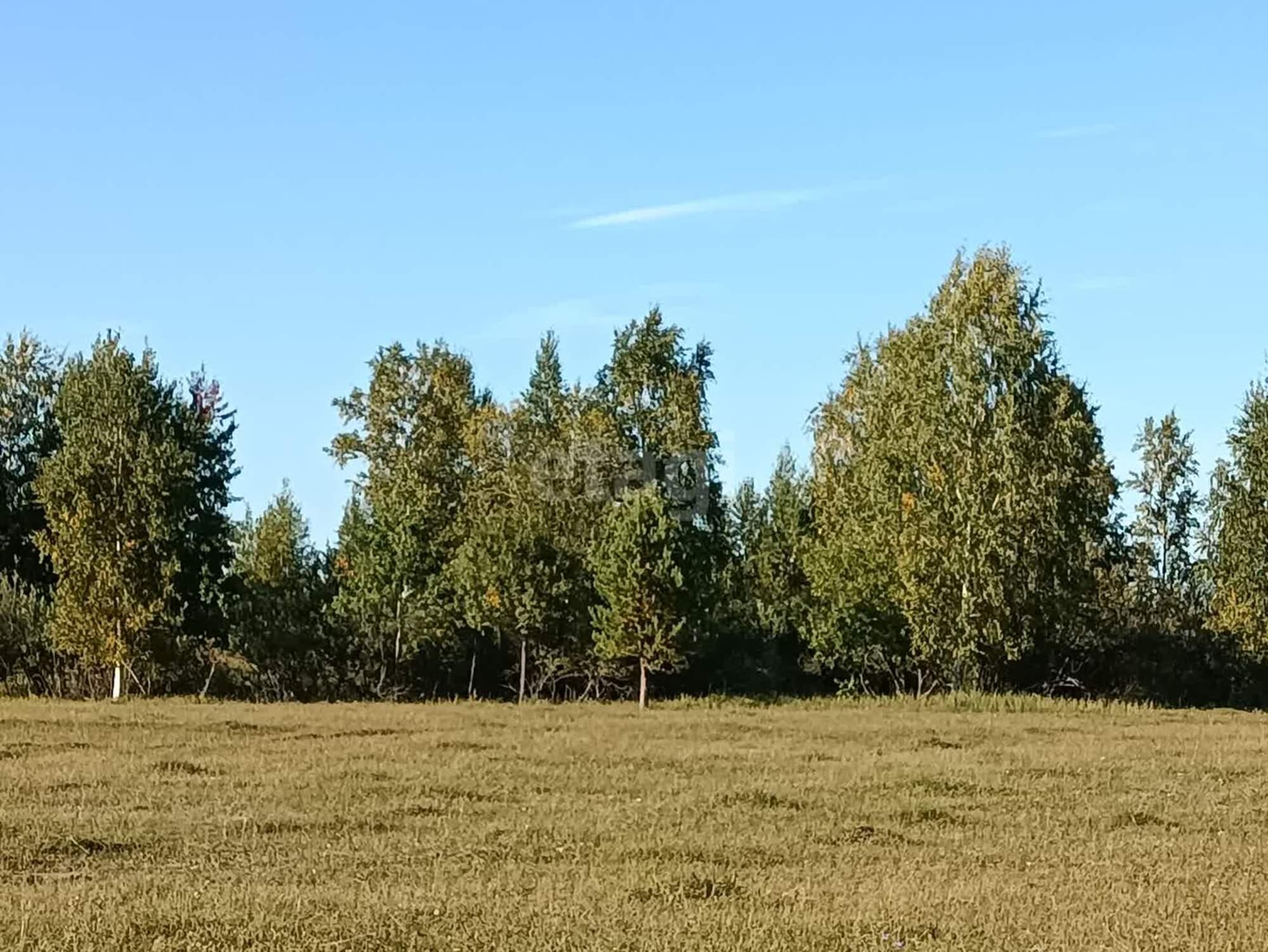 Купить землю, земельный участок за 1 000 000 рублей на Московка