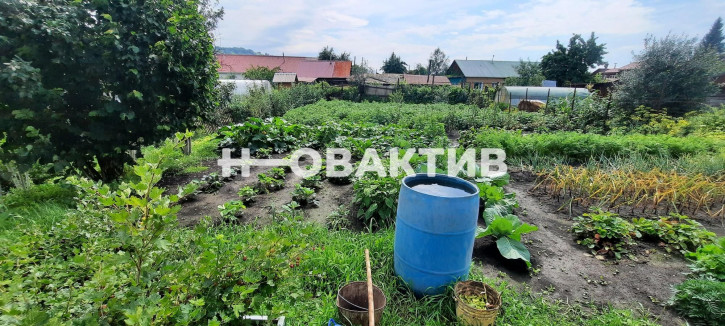 Коттедж/дом Набережная, 3