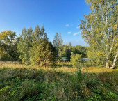 земля 15 сот Веськово с