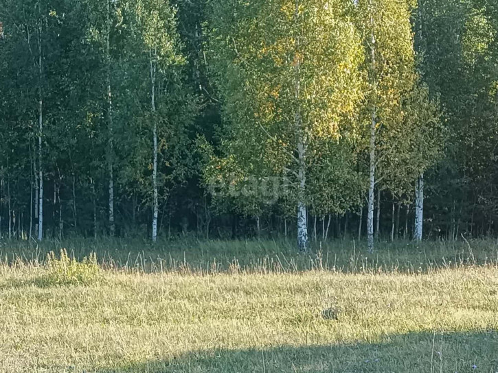 Земельный участок Московка