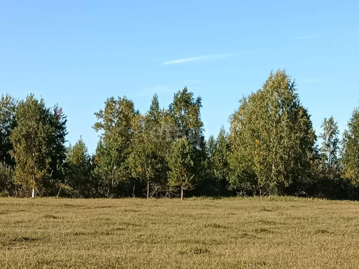 Земельный участок Московка