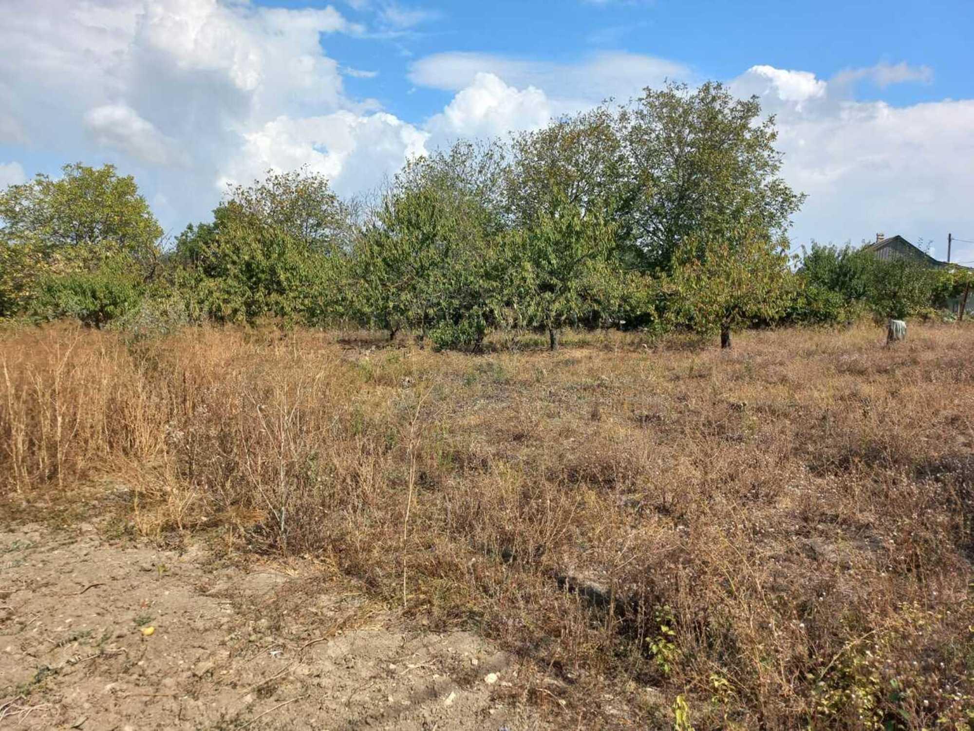 Купить землю, земельный участок за 8 400 000 рублей на село Варваровка