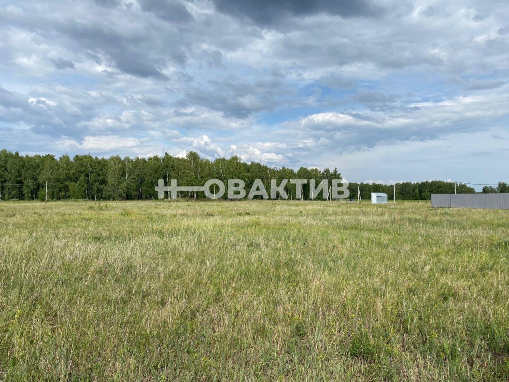Купить землю, земельный участок за 650 000 рублей на Новосибирская обл, Новосибирский р-н, Морской сельсовет, ТСН Эко-посёлок Ближняя Дача, ул Агатовая 10