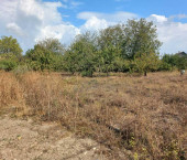 земля 12 сот село Варваровка