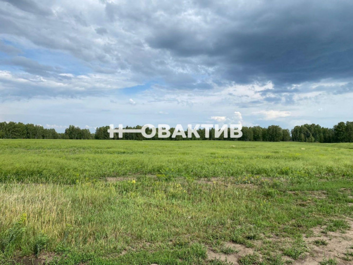 Земельный участок Новосибирская обл, Новосибирский р-н, Морской сельсовет, ТСН Эко-посёлок Ближняя Дача, ул Агатовая 10