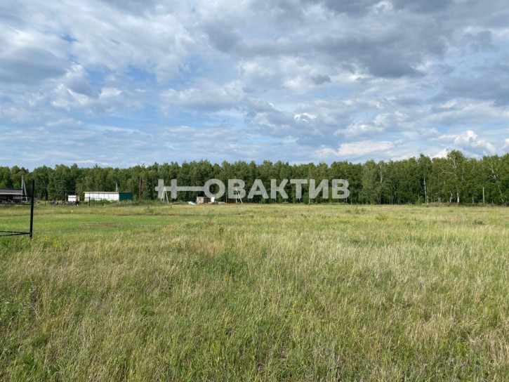 Земельный участок Новосибирская обл, Новосибирский р-н, Морской сельсовет, ТСН Эко-посёлок Ближняя Дача, ул Агатовая 10