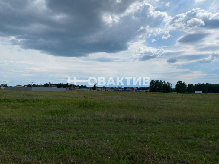 Земельный участок Новосибирская обл, Новосибирский р-н, Морской сельсовет, ТСН Эко-посёлок Ближняя Дача, ул Агатовая 10
