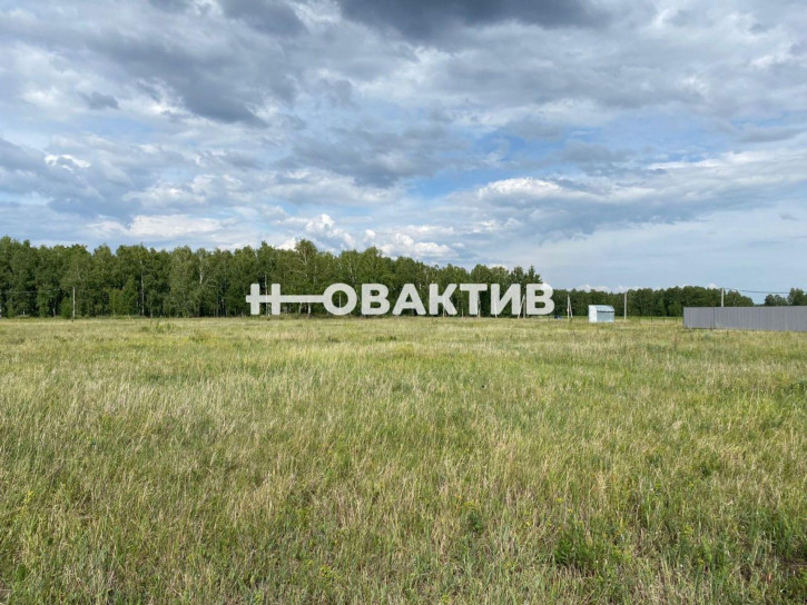 Земельный участок Новосибирская обл, Новосибирский р-н, Морской сельсовет, ТСН Эко-посёлок Ближняя Дача, ул Агатовая 10