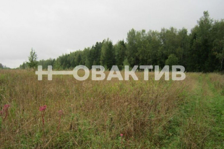 Земельный участок Новосибирск,поселок Садовый,мкр Северный,ул.Речная