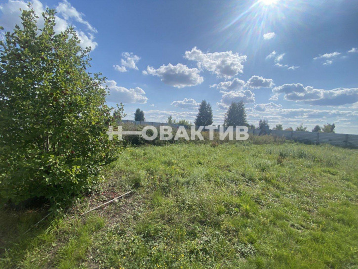 Земельный участок Новосибирская обл, г Бердск, тер. СНТ Луч