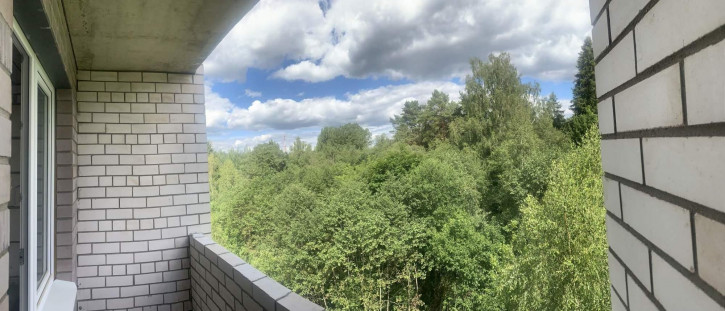 1-комн квартира Глущенки поселок, д.1