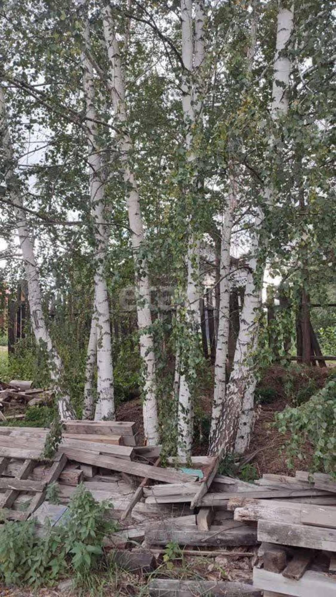 Купить дачу, дом, коттедж за 3 100 000 рублей на СНТ Ариана-6, 3