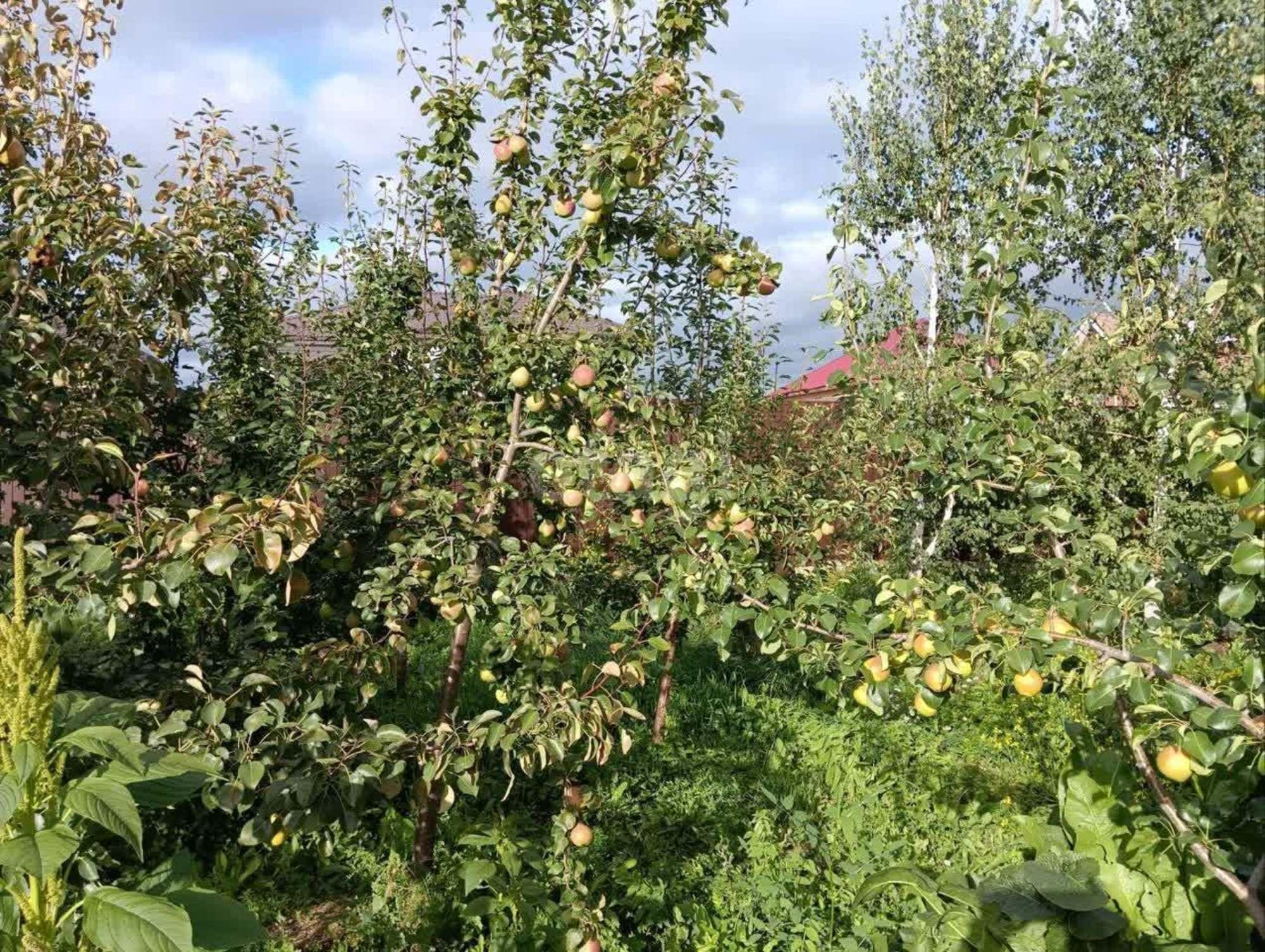 Купить дачу, дом, коттедж за 12 000 000 рублей на Шишкино, М/8
