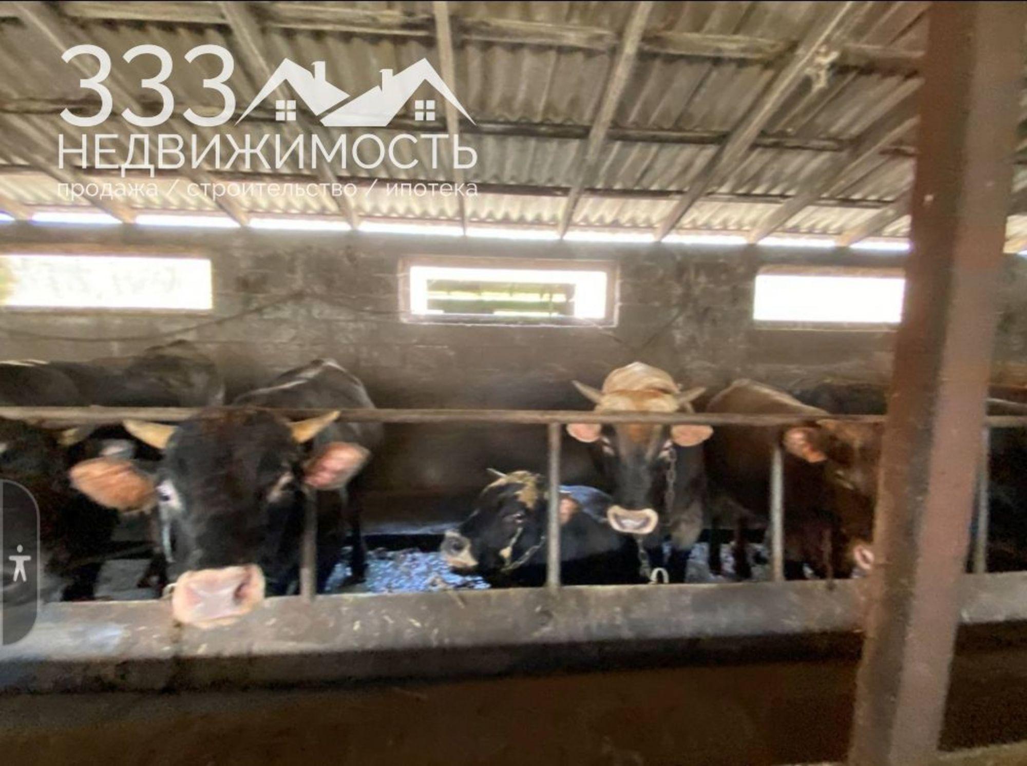 Купить землю, земельный участок за 16 000 000 рублей на Меладзе, 1