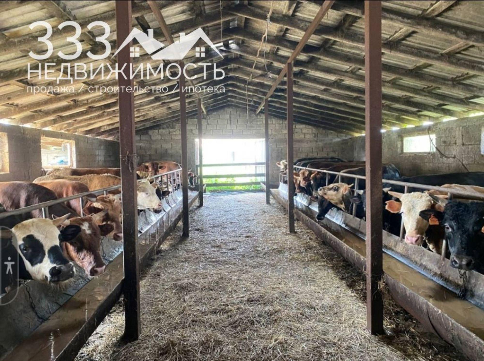 Купить землю, земельный участок за 16 000 000 рублей на Меладзе, 1