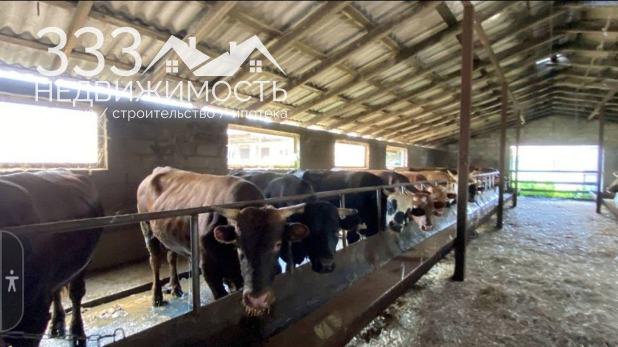 Купить землю, земельный участок за 16 000 000 рублей на Меладзе, 1