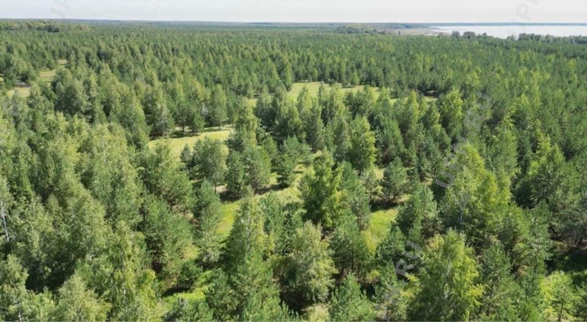 Купить землю, земельный участок за 2 500 000 рублей на багаряк