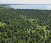земля 724 сот багаряк