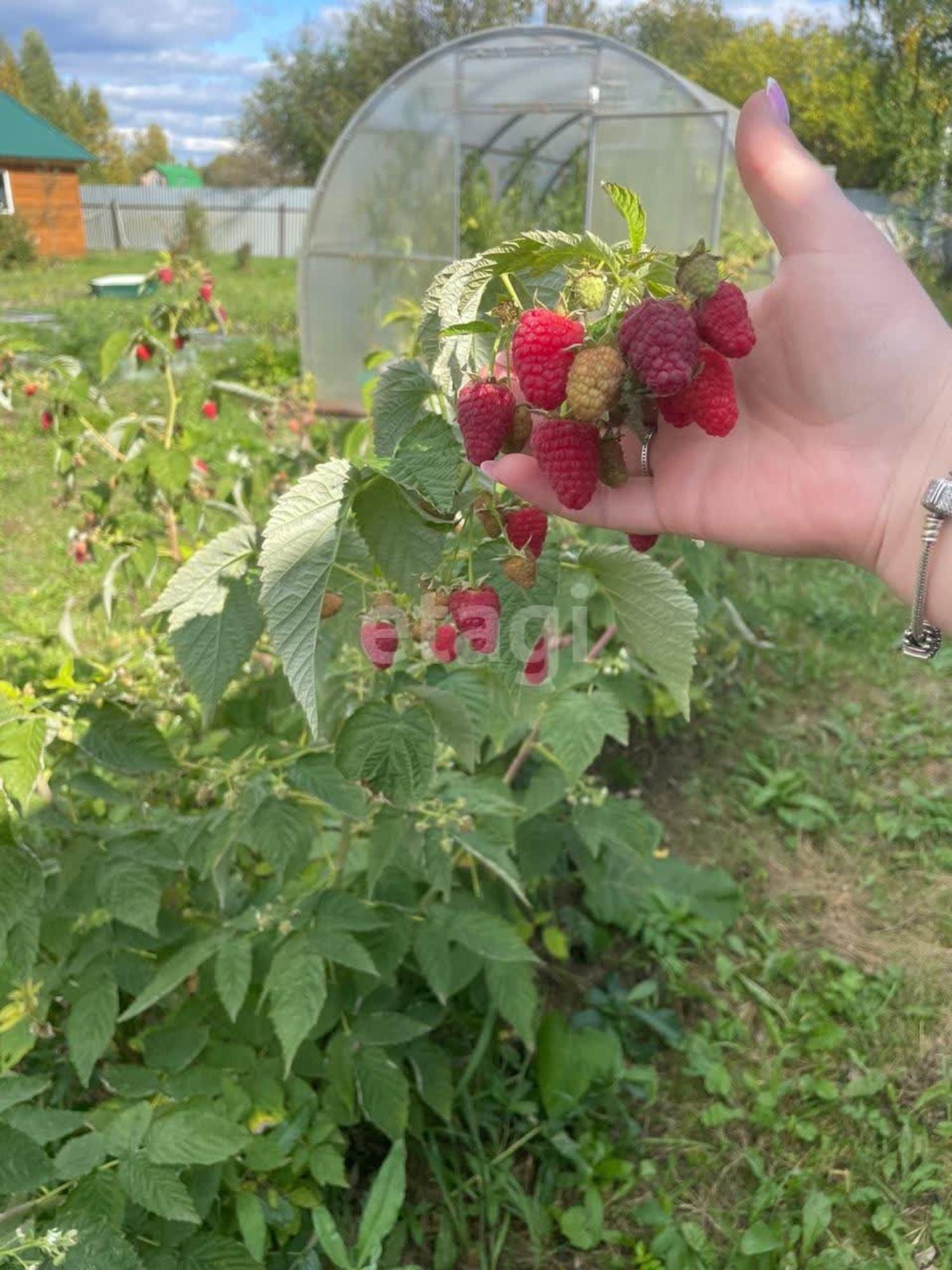 Купить дачу, дом, коттедж за 3 600 000 рублей на Каштановая,