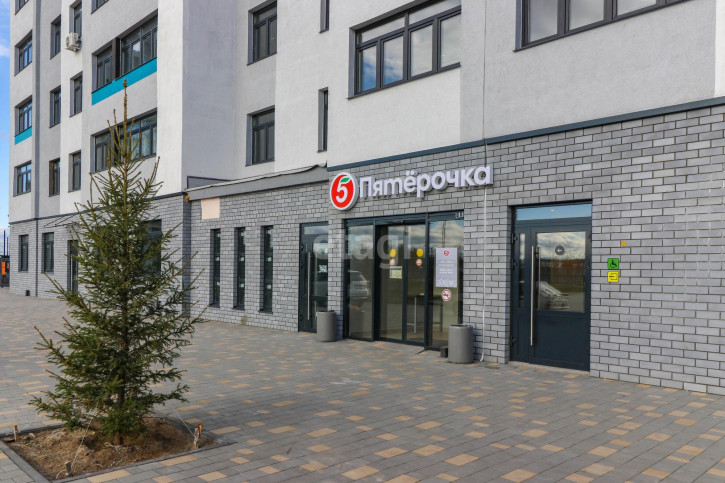 2-комн квартира Александра Пушкина, 10