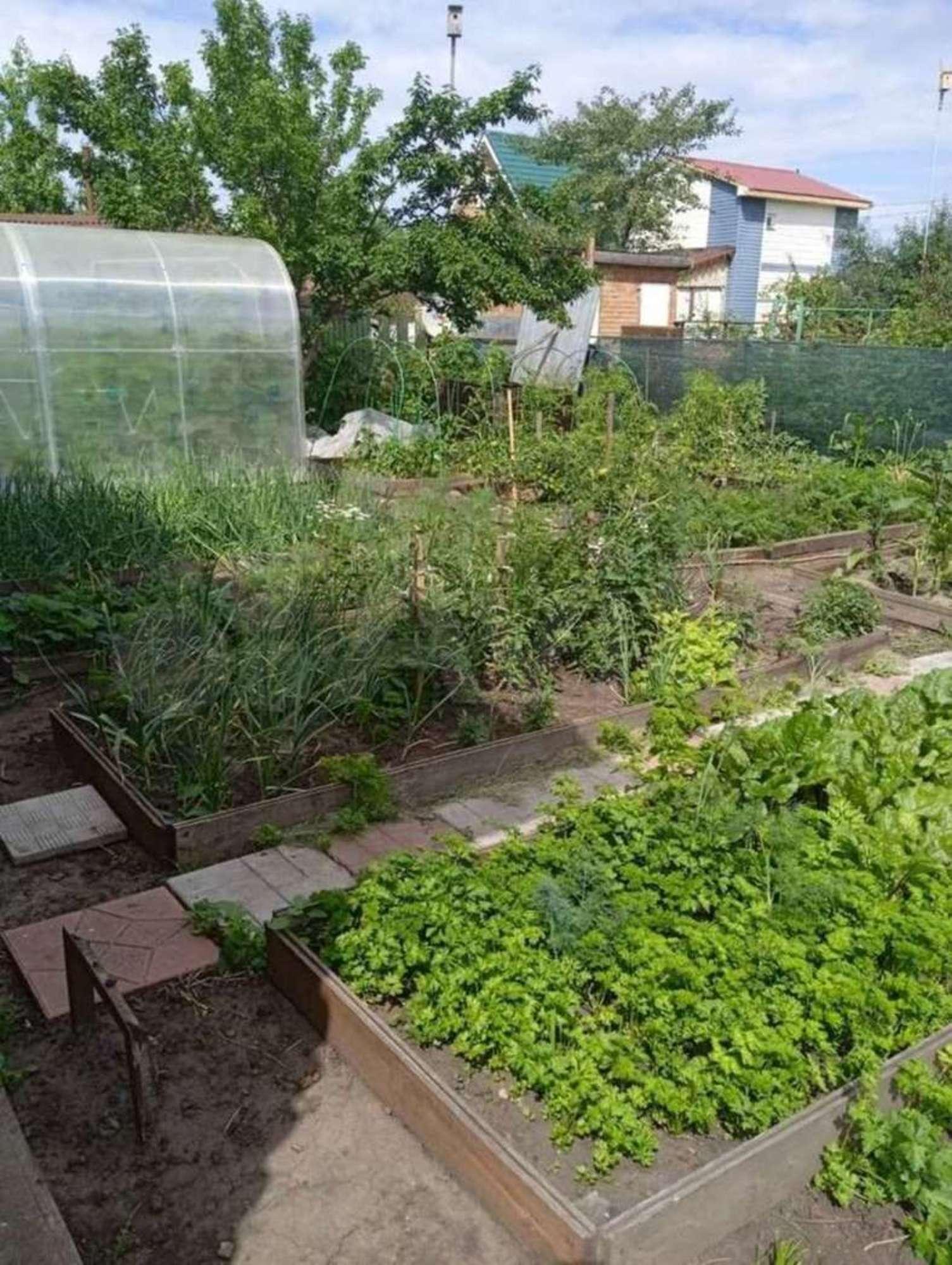 Купить дачу, дом, коттедж за 3 500 000 рублей на Луговая, 13