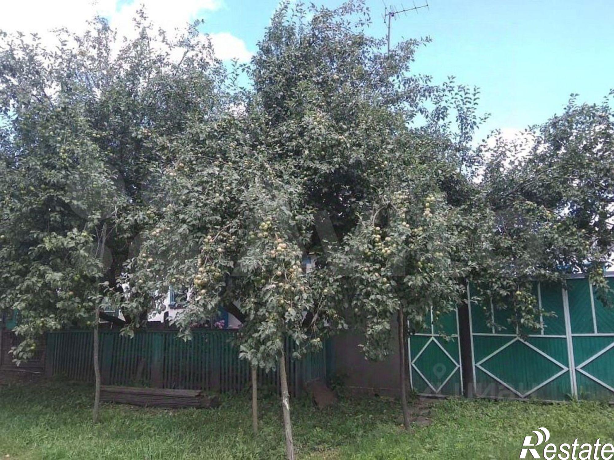 Купить дачу, дом, коттедж за 600 000 рублей на ул Ялдовино