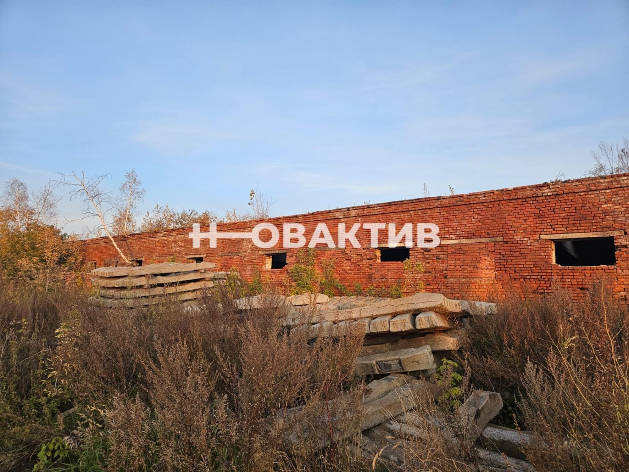 Сдать производственную площадь за 90 000 рублей на Новосибирская обл, Новосибирский р-н, поселок Садовый, ул Производственная