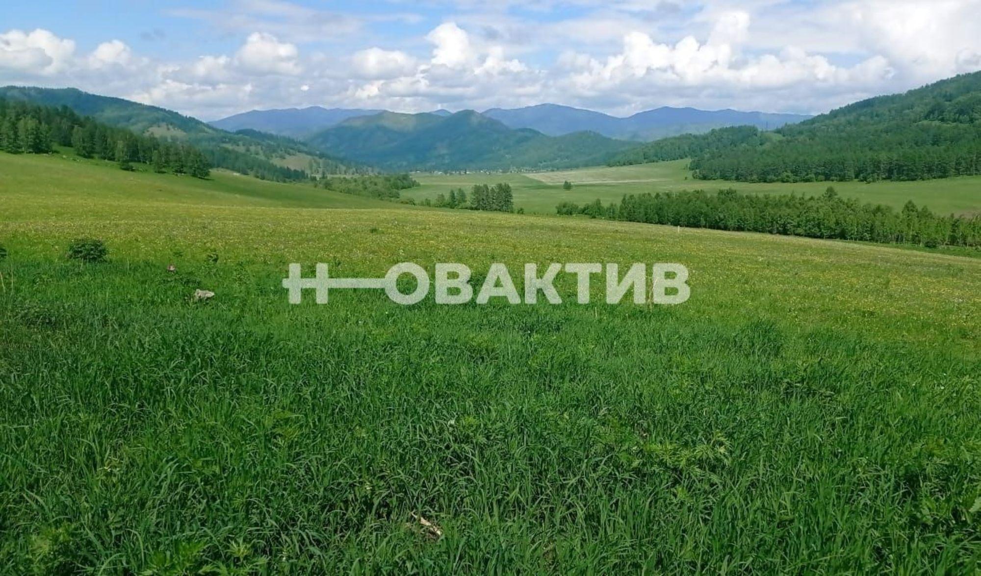 Купить землю, земельный участок за 3 640 000 рублей на Респ Алтай, Шебалинский р-н, с/п Дъектиекское