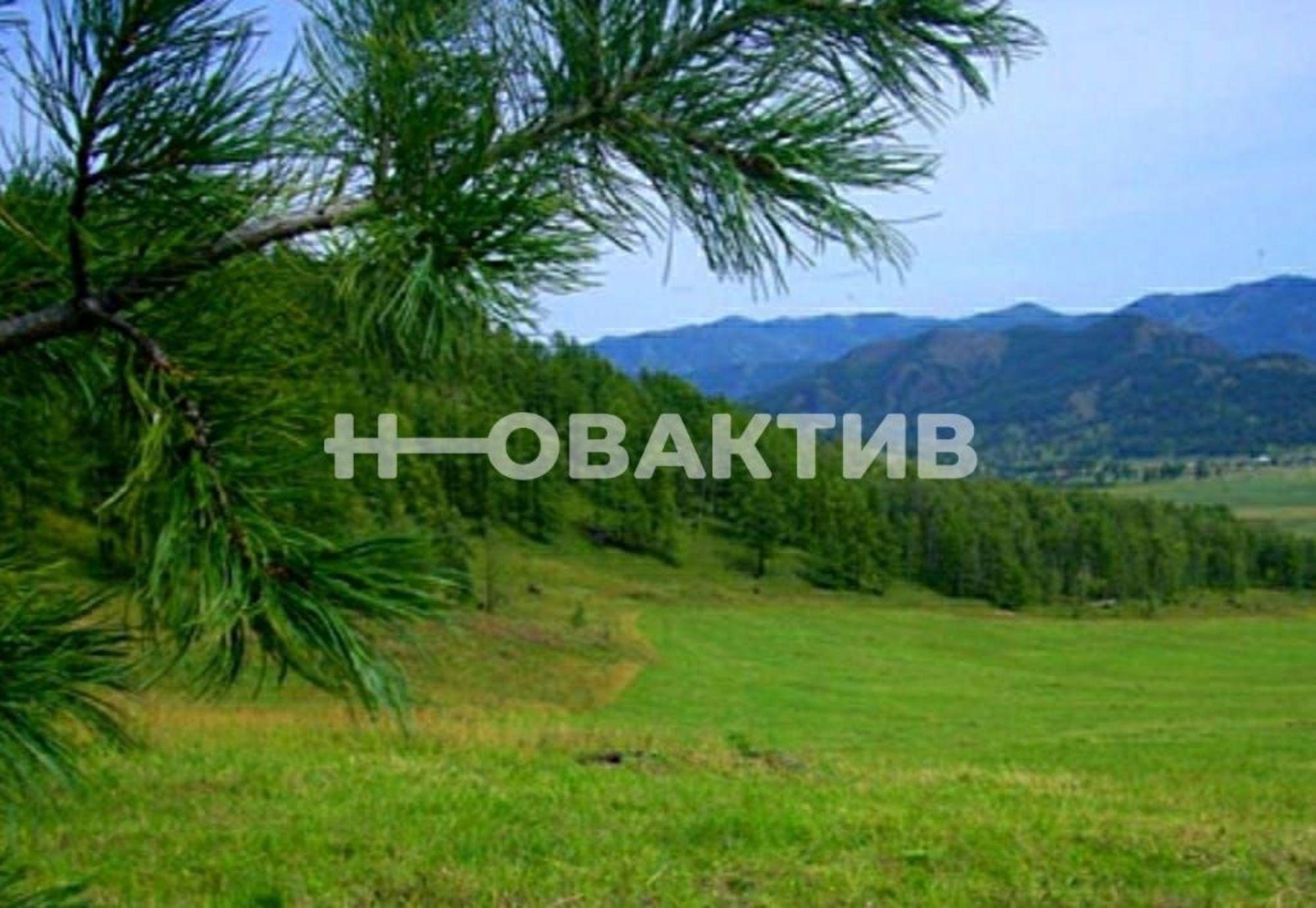 Купить землю, земельный участок за 3 640 000 рублей на Респ Алтай, Шебалинский р-н, с/п Дъектиекское