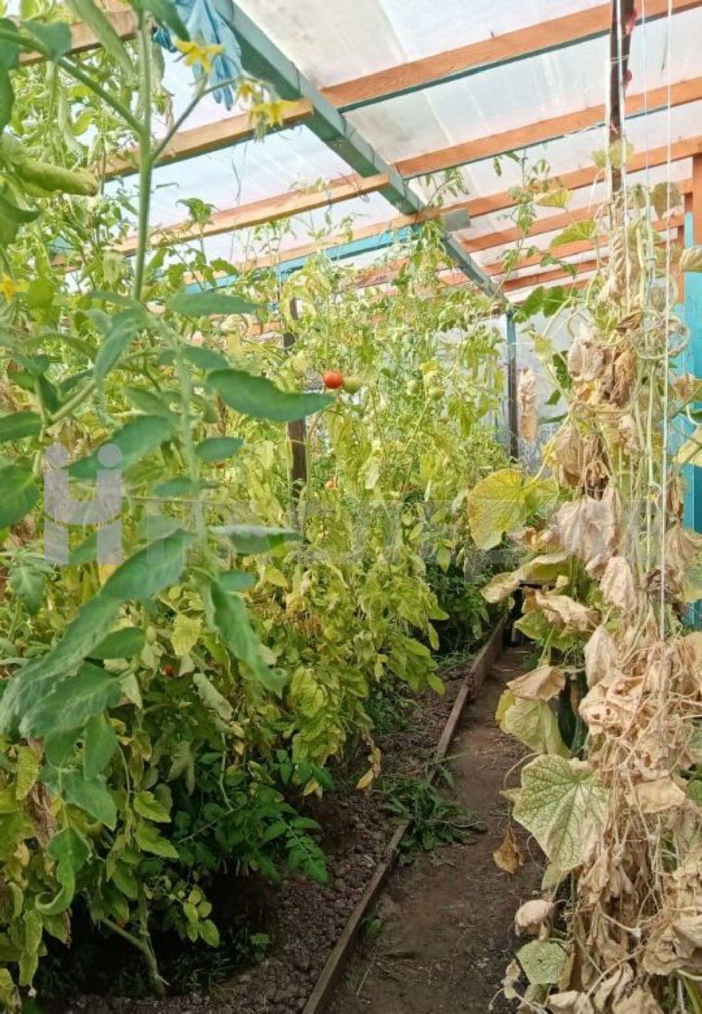 Купить дачу, дом, коттедж за 4 500 000 рублей на Пролетарская ул