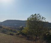 земля 5 сот село Партизанское