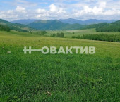 земля 233 сот Респ Алтай, Шебалинский р-н, с/п Дъектиекское