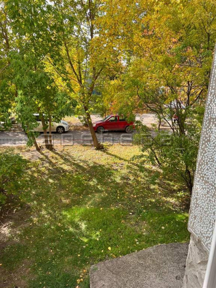 1-комн квартира Академгородок, 17а