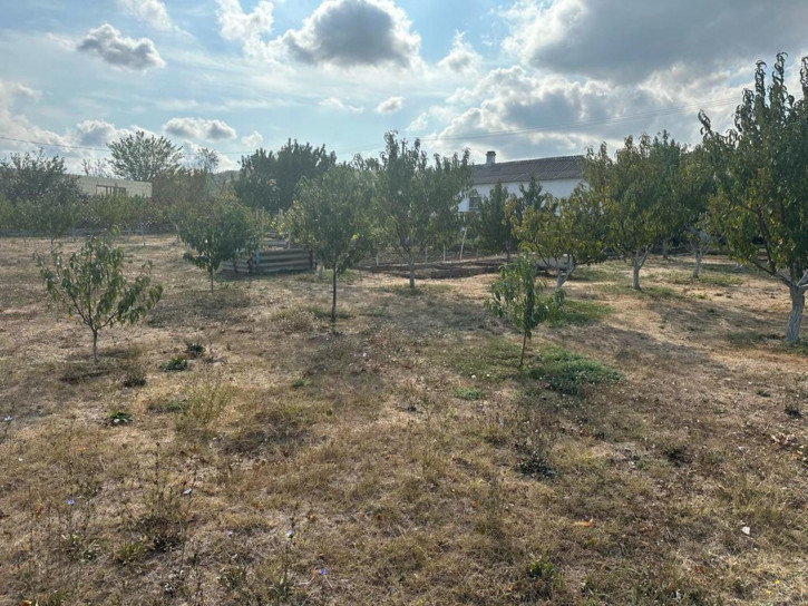 Земельный участок село Бужор