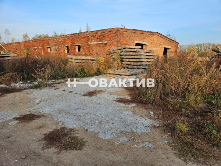 Производственное помещение Новосибирская обл, Новосибирский р-н, поселок Садовый, ул Производственная