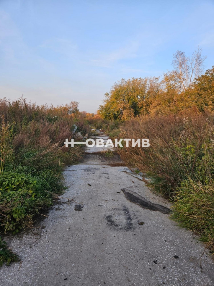 Производственное помещение Новосибирская обл, Новосибирский р-н, поселок Садовый, ул Производственная