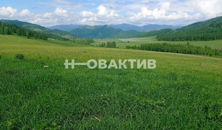 Земельный участок Респ Алтай, Шебалинский р-н, с/п Дъектиекское