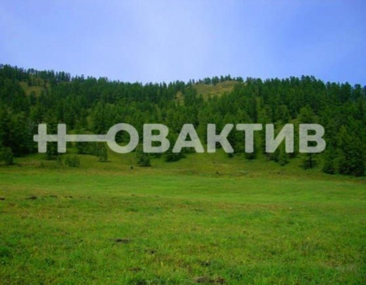 Земельный участок Респ Алтай, Шебалинский р-н, с/п Дъектиекское